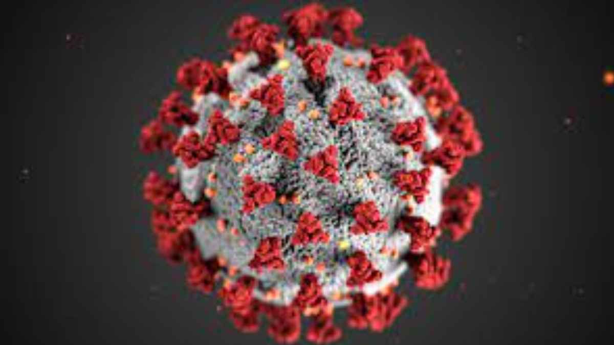 coronavirus